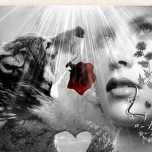 Meet your Posher, Ann